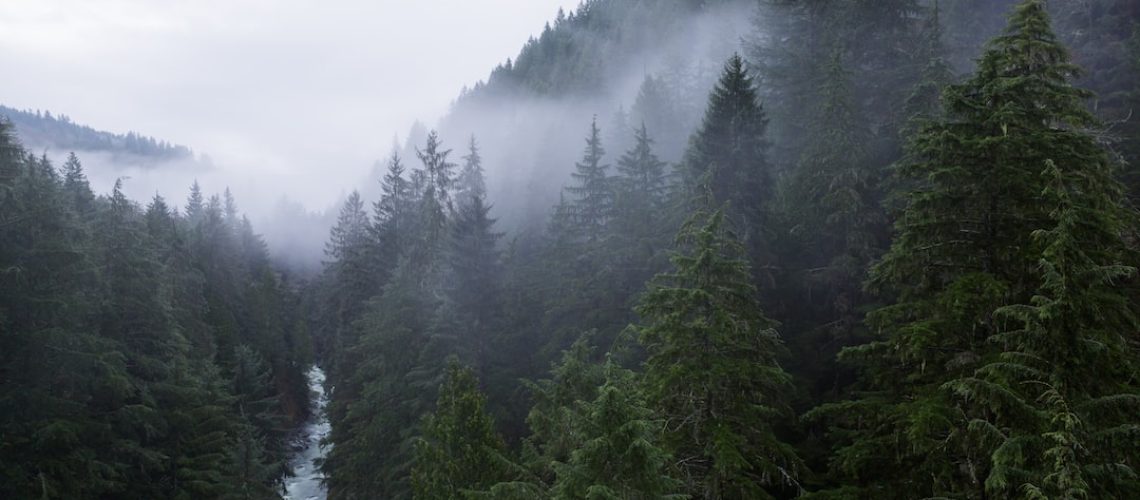 Your Friday Evening Briefing