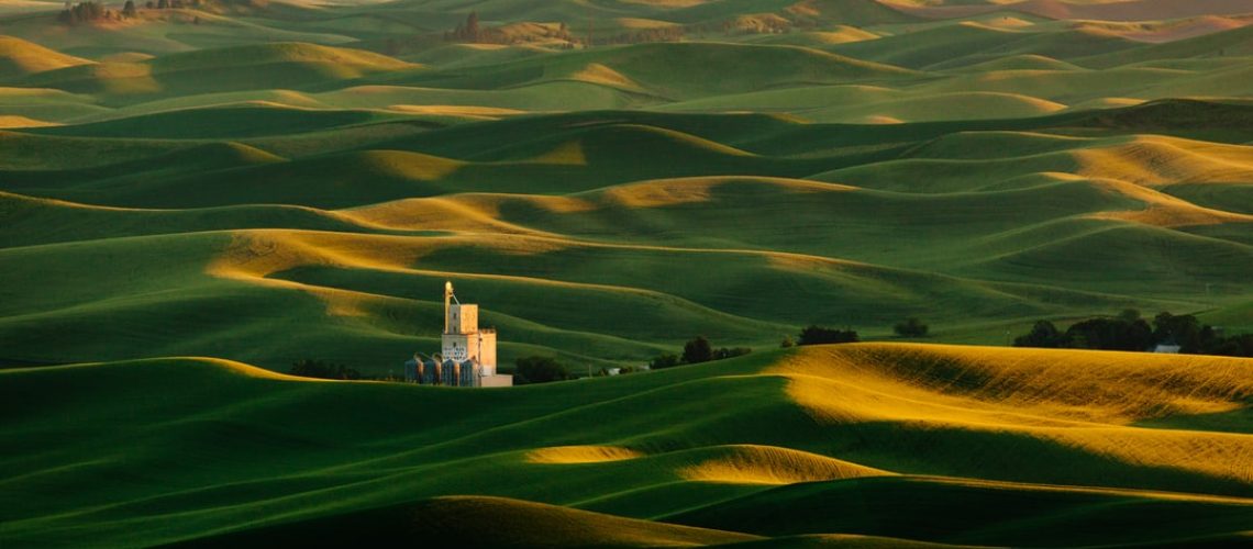 China’s Heat Wave Was a Frightening Vision of Earth’s Future