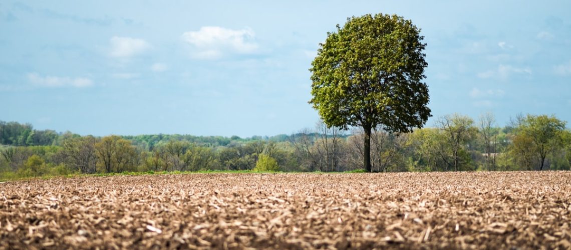 Least developed countries tell rich nations to cut emissions