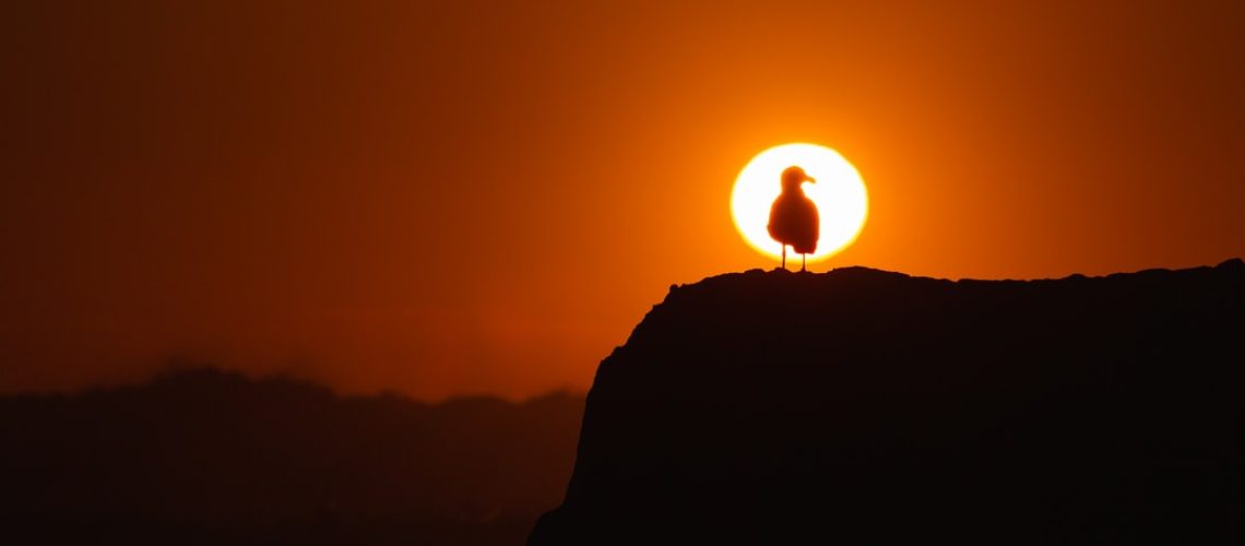 Threatened by Climate Change? Consider Managed Retreat.