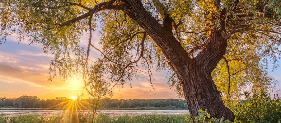 Climate Change Is Ravaging the Colorado River. There’s a Model to Avert the Worst.