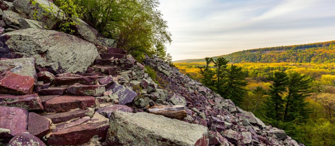 Lesson of the Day: Peat, the Unsung Hero of Carbon Capture