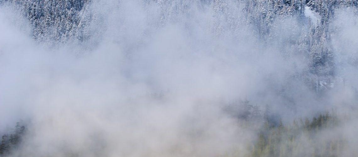 Climate disasters displaced more people than conflicts in 2020
